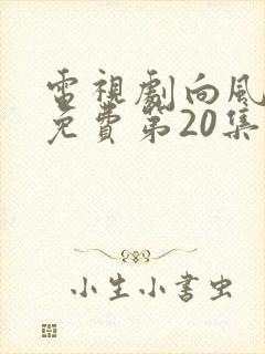 电视剧向风而行免费第20集播放