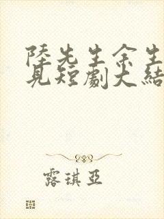 陆先生余生不再见短剧大结局