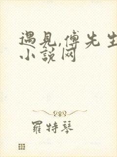 遇见,傅先生 小说网