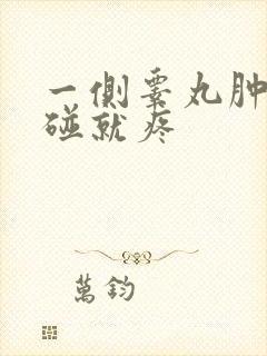 一侧睾丸肿大一碰就疼封面