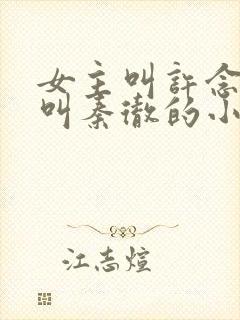 女主叫许念男主叫秦彻的小说