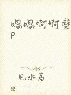 嗯嗯啊啊双龙np