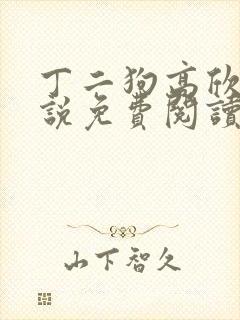 丁二狗高欣雅小说免费阅读