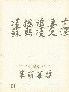 凌总追妻有点甜苏熙凌久泽封面