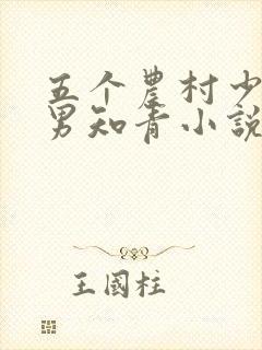 五个农村少女与男知青小说封面