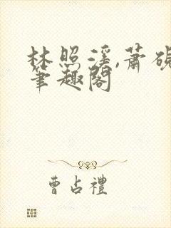 林照溪,萧砚川笔趣阁