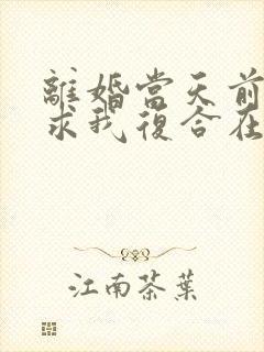 离婚当天前夫跪求我复合在线全文阅读