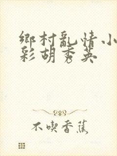 乡村乱情小雷小彩胡秀英封面