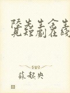 陆先生余生不再见短剧在线观看