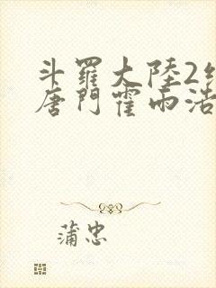 斗罗大陆2绝世唐门霍雨浩与王冬儿封面