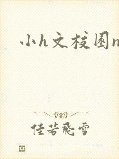 小h文校园np