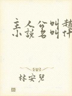 主人公叫赵旭的小说名叫什么