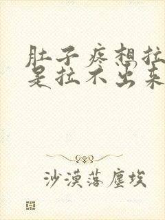 肚子疼想拉屎就是拉不出来怎么回事