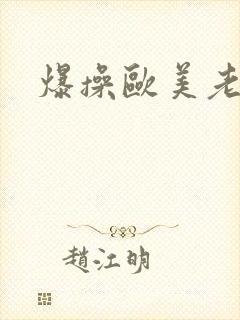 爆操欧美老熟妇