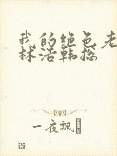 我的绝色老板娘林浩韩总