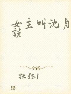 女主叫沈月的小说