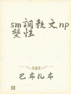 sm调教文np双性封面