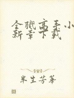 全职高手小说最新章下载