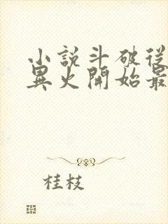 小说斗破从签到异火开始最新更新