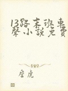 13路末班车有声小说免费听书
