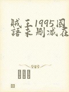 贼王1995国语未删减在线播放