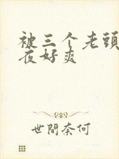 被三个老头躁一夜好爽封面