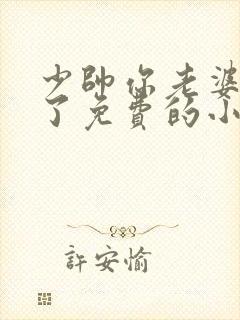 少帅你老婆又跑了免费的小说封面