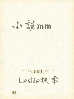 小说mm