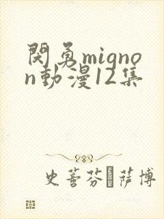 闵勇mignon动漫12集