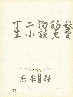 丁二狗的妖孽人生小说免费阅读全文