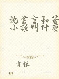 沈书言和萧淮的小说叫什么名字啊