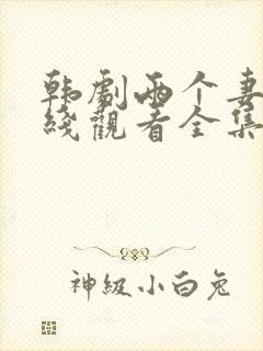 韩剧两个妻子在线观看全集免费