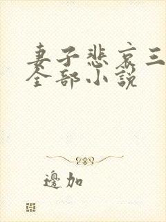 妻子悲哀三部曲全部小说