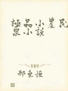 极品小农民叶庆泉小说封面