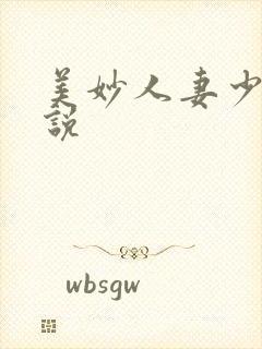 美妙人妻少妇小说