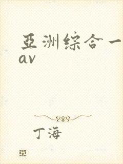 亚洲综合一区二av