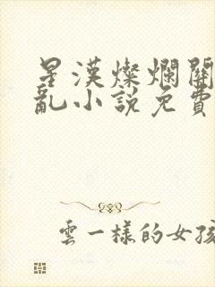 星汉灿烂关心则乱小说免费阅读全文无窗口