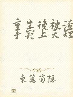 重生后被渣男对手宠上天短剧