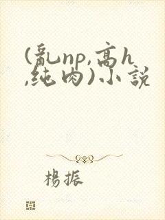(乱np,高h,纯肉)小说
