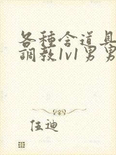 各种含道具高h调教1v1男男封面