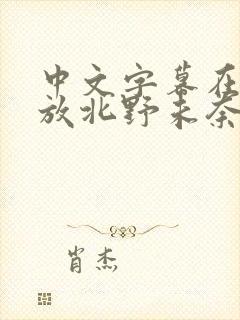 中文字幕在线播放北野未奈