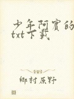 少年阿宾的故事txt下载