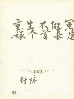 重生不做冤种妻,嫁个首长虐前夫