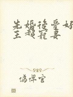 先婚后爱好甜男主超宠妻