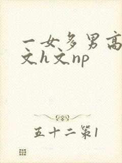 一女多男高辣h文h文np