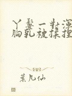 丫鬟一对浑圆的胸乳被揉捏小说