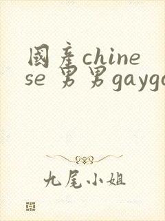 国产chinese 男男gaygay网站封面