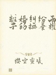 离婚纠纷两个孩子的抚养权如何确定判决