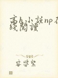 高h小说np在线阅读封面