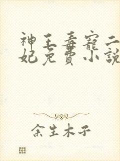 神王毒宠二嫁王妃免费小说